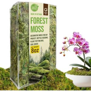 8 Oz Forest Moss for Indoor Plants, Dried Moss for Potted Plants Terrariums, Forest Orchid Moss for Potting Mix, Reptile Bedding, Turtle, Snake Bedding, DIY Projects, Craft Decor