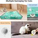 2 in 1 Interactive Cat Toys for Indoor, Toy Fast Rolling Ball in Play Mat,Kitten Automatic Toy Motion Activate,Rechargeable Kitten Toys Ball(Green)