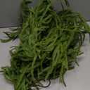 Artificial Pine Garland Soft PVC Realistic Pine Garland for Xmas Fireplace Door Decoration 270cm