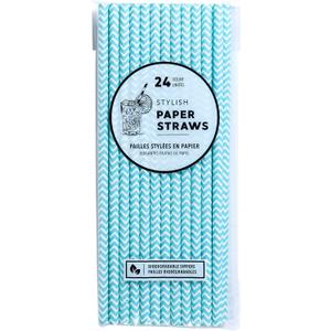 Jacent Stylish Biodegradable Paper Straws, 24 Count per Package, Blue, 1-Pack
