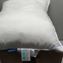 Seward Park Bed Pillow Standard Size Set of 2, Shams Insert 20 x 26 inch, Down Alternative Cooling Pillows for Stomach, Side or Back Sleeper