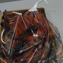 Geelin 6 Pcs Large Monarch Butterfly Decorations Mariposas Grandes para Decoracion Big Orange Butterfly Party Decor 20 Inch 12 Inch 3D Silk Butterflies for Women Birthday Party Wedding Decor