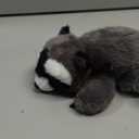 Adorable Raccoon Stuffed Animal Soft Raccoon Plush Toy Cute Birthday Gifts for Boys Girls Kids Toddlers