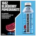BODYARMOR Lyte Sports Drink Low-Calorie Sports Beverage, Blueberry Pomegranate, Coconut Water Hydration, Natural Flavors with Vitamins, Potassium-Packed Electrolytes, Perfect for Athletes, 16 fl oz Bottle (Pack of 12)