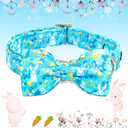 Lionheart glory Dog Bow Collar Easter Day Dog Collar for X-Small Dogs,Easter Rabbits Colorful Dog Collars with Bowtie Spring Bunnies Blue Collars Puppy Collar Bows