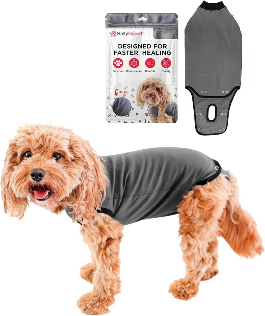 BellyGuard Recovery Suit for Dogs, Comfy Dog Surgery Suit, Female Spay and Male Neuter Onesie for Post-Op Care (Large, Grey)