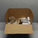 Vintage Glass Storage Jars Set of 6,Kitchen Coffee Jar Storage with Flat Airtight Bamboo Lid,Pantry Food Storage Container with Clear Sunflower Decor for Countertop,Dining Room,Stackable,Heavy Duty