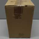 CTW Home Collection Piglet Cookie Jar