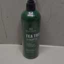 Botanic Hearth Tea Tree Shampoo, Vitamin C, Peppermint, Lavender And Rosemary Oil, Fights Dandruff And Dry Scalp, 16 Fl Oz