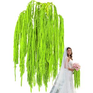 12Pcs 24 Inch Green Natural Dried Amaranthus Hanging Flowers, 100% Pure Preserved, Amaranthus Artificial Flower for Wedding Arch, Floral Garland, Bouquet, Wall Home Decoration