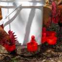 Chicken Feeder No Waste Automatic Poultry Feeder Ports Kit and Waterer Set