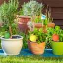 8Pcs Terracotta Self Watering Devices Premium Self Ceramic,Automatic Watering Water Seepage Device for Vacation Care,Garden/Office/Outdoor/Indoor Plant Decoration