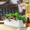 Rectangular Plastic Planter Pot 2 Pack with Drainage Saucers 5.5X7.4X5.5 Inches Indoor Outdoor Garden Vegetable Succulent Flower Box, 43x19cm