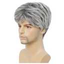 Grey Short Wigs for Men Natural Layered Synthetic Hair Cosplay Halloween Costume Wigs for Male Guy