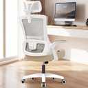 NEO CHAIR Office Desk Chair Computer High Back Mesh Gaming Seat with Ergonomic Adjustable Comfy Flip-up Armrests Lumbar Support Height for Home (Headrest Beige)