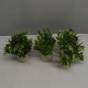 Der Rose 3 Pack Mini Potted Fake Plants Artificial Plastic Eucalyptus Plants for Home Office Desk Farmhouse Room Decor (Green)