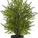 Nearly Natural 2ft. Norfolk Island Pine Natural Look Artificial Tree in Decorative Planter (Green)