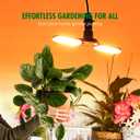 2 x LED Grow Light, Foldable Growing Light for Indoor Plant, E26 Base, 24 Watt, 320 Degree Rotation, Full Spectrum, Damp-Proof, 2 Sets