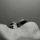 6x9 Feet Area Rugs for Living Room Bedroom,Gray and White Machine Washable Soft Fluffy Shaggy Indoor Rug, Floor Carpet for Girls Boys Kids, Dorms, Nursery Rooms, Home Decor Aesthetic