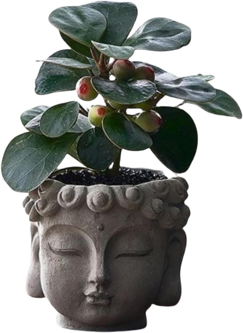 Buddha Head Planter with Drainage Hole - Zen Flower Pot for Succulents, Air Plants, Home & Office Decor, Gift for Plant Lovers (Indoor/Outdoor Use)