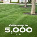 Scotts Green Max Lawn Food, 5,000 sq. ft.