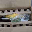 Blow Up Water Slides for Kids Backyard, Large Jumping Bouncy Castle for Kid Outdoor, 8in1 Inflatable Bounce House With 450W air Blower