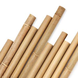 Cambaverd Bamboo Stakes 8 Feet, Diameter of 1 Inch Thicker Garden Stakes, Natural Plant Stakes for Tomatoes, Cucumbers, Grape Vine Climbing Plants Support and Natural Decoration - 10 Pack Bamboo Poles