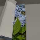 MARTINE MALL 3Pcs 21in Hydrangea Artificial Flowers, Latex Real Touch Hydrangeas Lifelike Large Hydrangea Flowers for Home Decor Party Arrangements Wedding Bouquets Centerpieces (Blue)