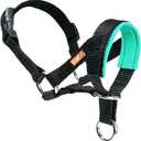 Dog Head Collar with Soft Fabric, Head Harness Stops Dog Pulling, Head Leash for Small Medium Large Dogs Walking (S, Green)