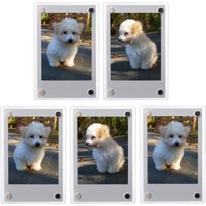 3" Dual Sided Clear Acrylic Refrigerator Magnetic Photo Frame, Frameless Display Compatible with Fujifilm Mini 9 8 8+ 2x3 Photo (x5)