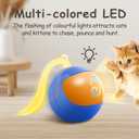 Migipaws 2-in-1 Interactive Cat Toy Ball  Paw Friendly Kicking Chasing Ball with Bonus Fluffy Tail for Indoor Cats Random Rolling Auto Escape Corners Tangle-Free Quiet USB Rechargeable (Blue)