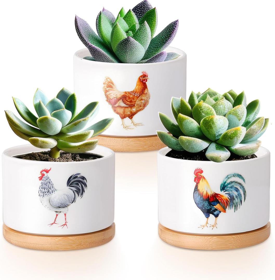 Vesici 3 Pcs Chicken Gifts for Women Chicken Planter Succulent Pots with Drainage and Bamboo Tray Small Ceramic Succulent Planters Animal Plant Pot for Christmas Office Home Decor Plant Lovers