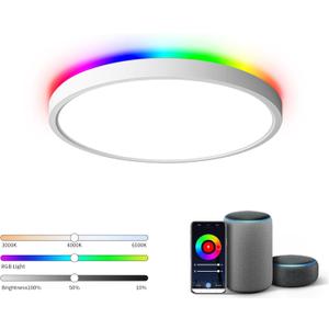 TALOYA Smart Ceiling Light Fixture 10 Inch Flush Mount Led with RGB Night Light, Compatible with Alexa Google Assistant, 2.4G WiFi Ceiling Mount Lamp for Kids Room (White)