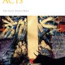 Saint John's Bible: Gospels and Acts, Book 