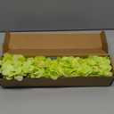 Kimura's Cabin 6pcs Green Silk Hydrangea Flowers Bouquets Faux Hydrangea Stems for Home Wedding Party Table Core Decoration (Lime Green)