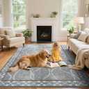 4x6 Area Rugs for Living Room Bedroom, Machine Washable Low Pile Rugs, Non Slip Modern Bordered Print Indoor Carpet for Entryway Office Dining Room Dorm Home Decor,Light Grey