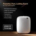 Airversa Waterless Essential Oil Diffuser for Home Large Room and Commercial Use, Up to 2000 sq ft, App Control Cold Air Diffuser, 400mL, DC-12V/1A Plug in Wall, Smart Scent Air Machine, ANW-White
