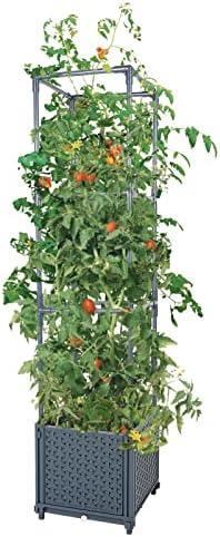 GREEN MOUNT Raised Garden Bed Planter Boxes with Trellis for Climbing Vegetables Plants Tomato Cage