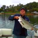 2 x REAL FISH 6.5" The Intruder Multi Jointed Swimbait Bass Fishing Lure Bait Hard Slow Fast Sinking Life Like Gizzard Shad Minnow Bluegill Floating Slow Sinking (1) (BLUEBACK HERRING)