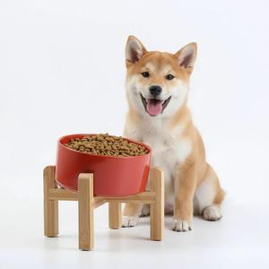 Petygooing Elevated/Raised 15Slanted Ceramic Dog Bowl for Small and Medium Breeds, Tilted Anti Slip Pet Feeding Bowl,Food Water Dish with Stand for Cats and Dogs (28 OZ/3.6 Cups) Rust Red