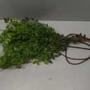 Melorca&Guilla Artificial Plants,2PCS 43.3" Green Nandina Faux Branches for Vase,Artificial Plants for Shop Garden Office Home Dcor