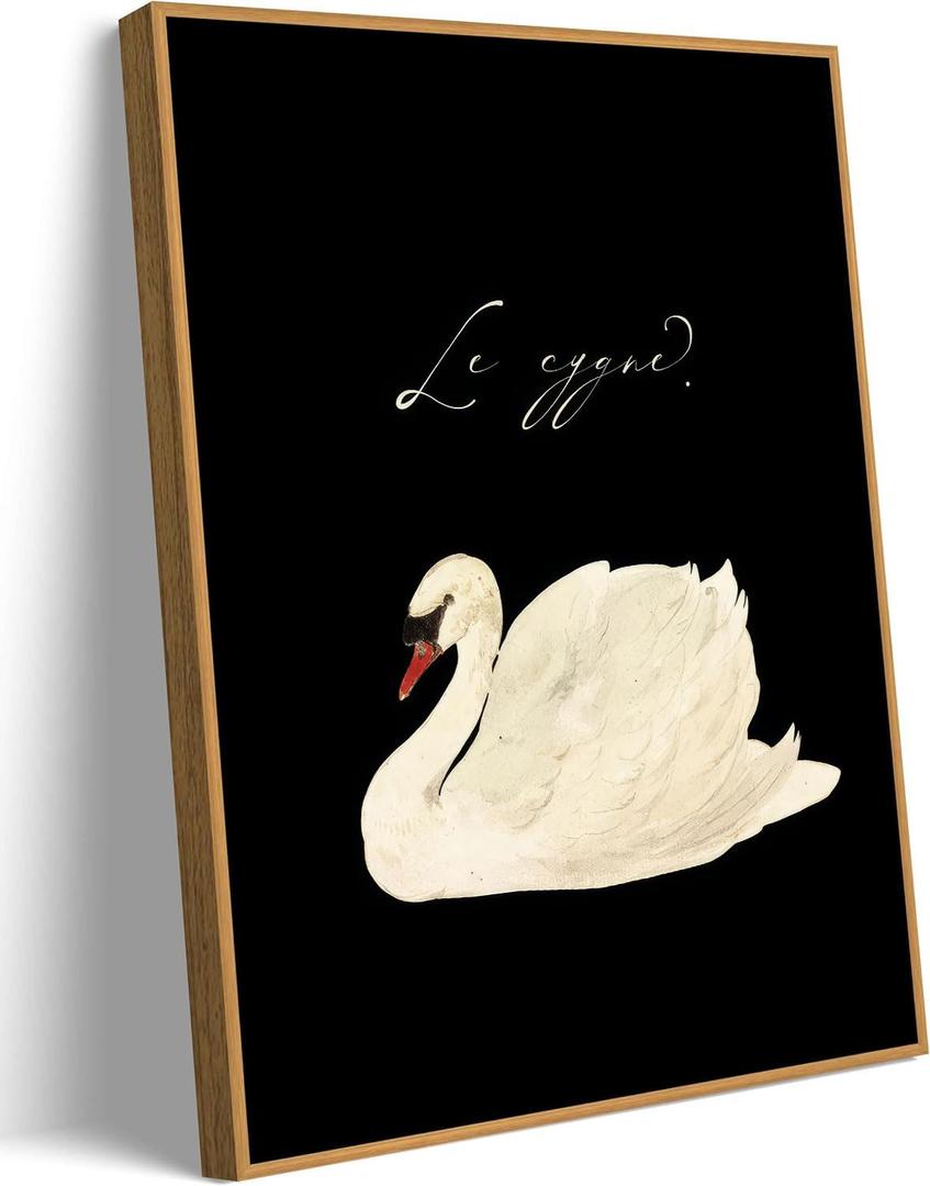 2 x EAGLOG Vintage Framed-White Swan Wall Art,Farmhouse Animal Canvas Print,Black And White Cottagecore Picture,Eclectic Rustic Artwork,Moody Painting Wall Decor for Living Room Bedroom Office 8x10in