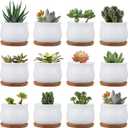 Succluent Pots Small Flower Pots Planter Pots with Drinage,Ceramic Flowers Pots with Bamboo Tray for Cactus(12 Pack