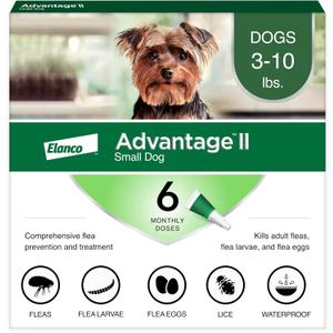 Advantage II Small Dog Vet-Recommended Flea Treatment & Prevention | Dogs 3-10 lbs. | 6-Month Supply