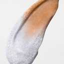 Erborian CC Water Gel Color Corrector, Tone-Evening Skincare Makeup Hybrid Hydrates, Blurs for Glass, Dewy, Glowy Finish, Lightweight, Korean Skincare (1.3 Ounce (Pack of 1), Caramel)