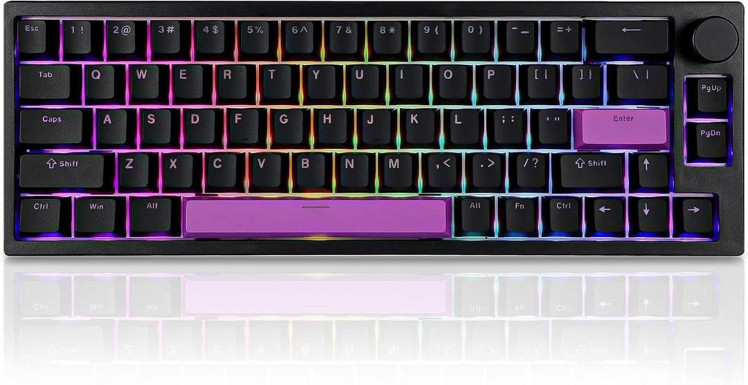 BOYI 66Pro Rapid Trigger Magnetic Switch Mechanical Keyboard,65% Hall Effect Hyper-Fast Adjustable Actuation 8K Hz Polling Rate Hot Swap Gasket RGB Wired Gaming Keyboard with Knob (Black)
