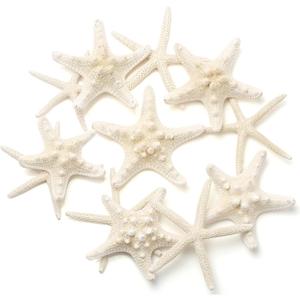 12 PCS Starfish | 2.5-6 Inch Starfish Decor | Natural Bulk Starfish Shells Perfect for Crafts Making Beach Theme Party Wedding Decoration, Home Wall Decor, Christmas Ornaments, Fish Tank