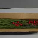 Watayo 45 Pcs Christmas Norfolk Pine Branches with Red Berry Stems, 14" Artificial Greenery Norfolk Pine Stems Sprigs, Fake Foliage Pine Needles Picks for DIY Craft Garland Home Decoration