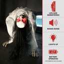 Haunted Hill Farm 3-Ft. Possessed Woman Animatronic with Lights & Sound
3 Ft Tall, Motion-Activated Movement, LED Lights, Sound, Battery Power, Animated Halloween Decoration, Halloween Display