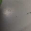 Plunger Rubber